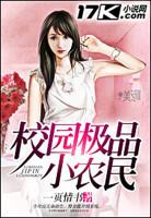 极品小农民免费
